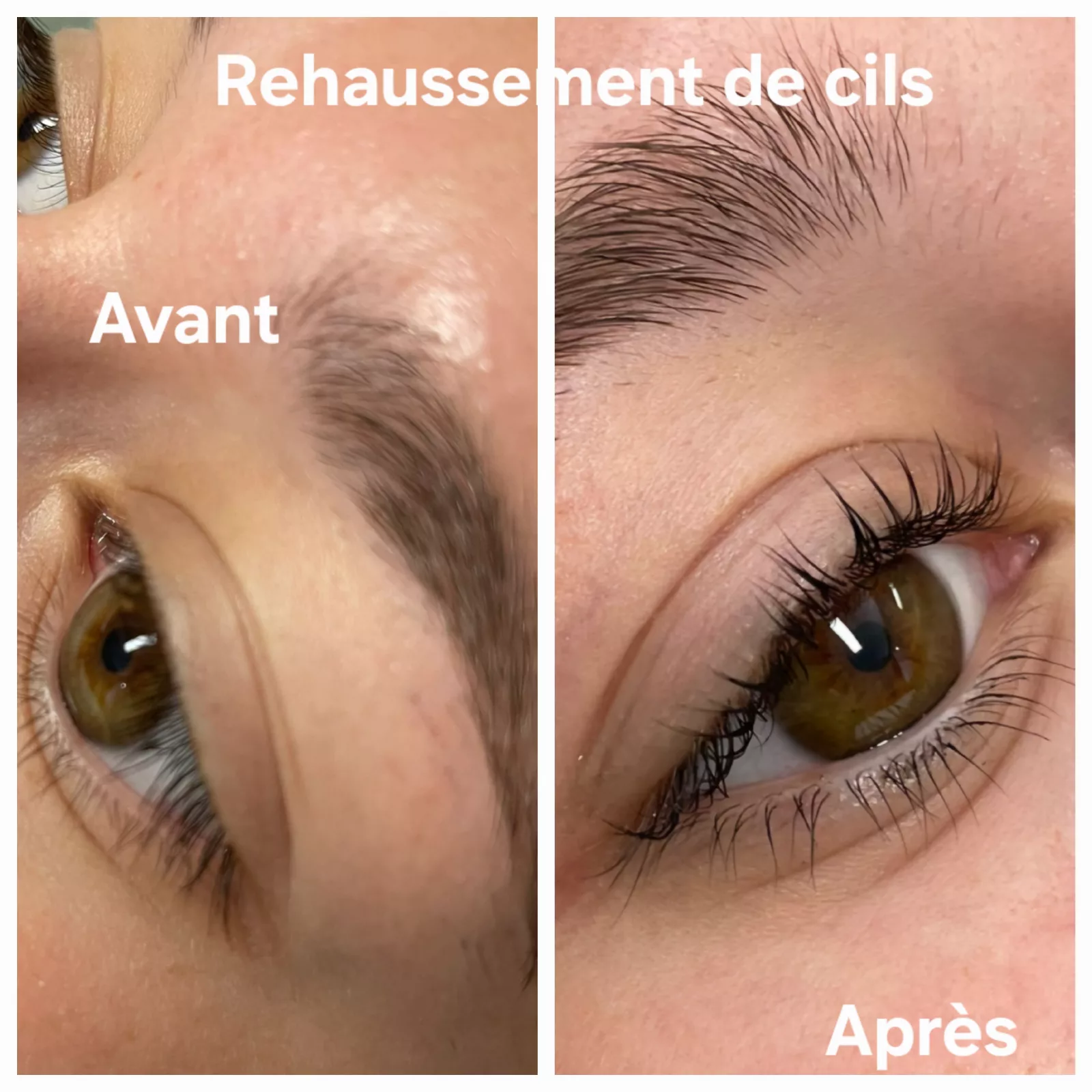 REGARD (Cils et Sourcils)